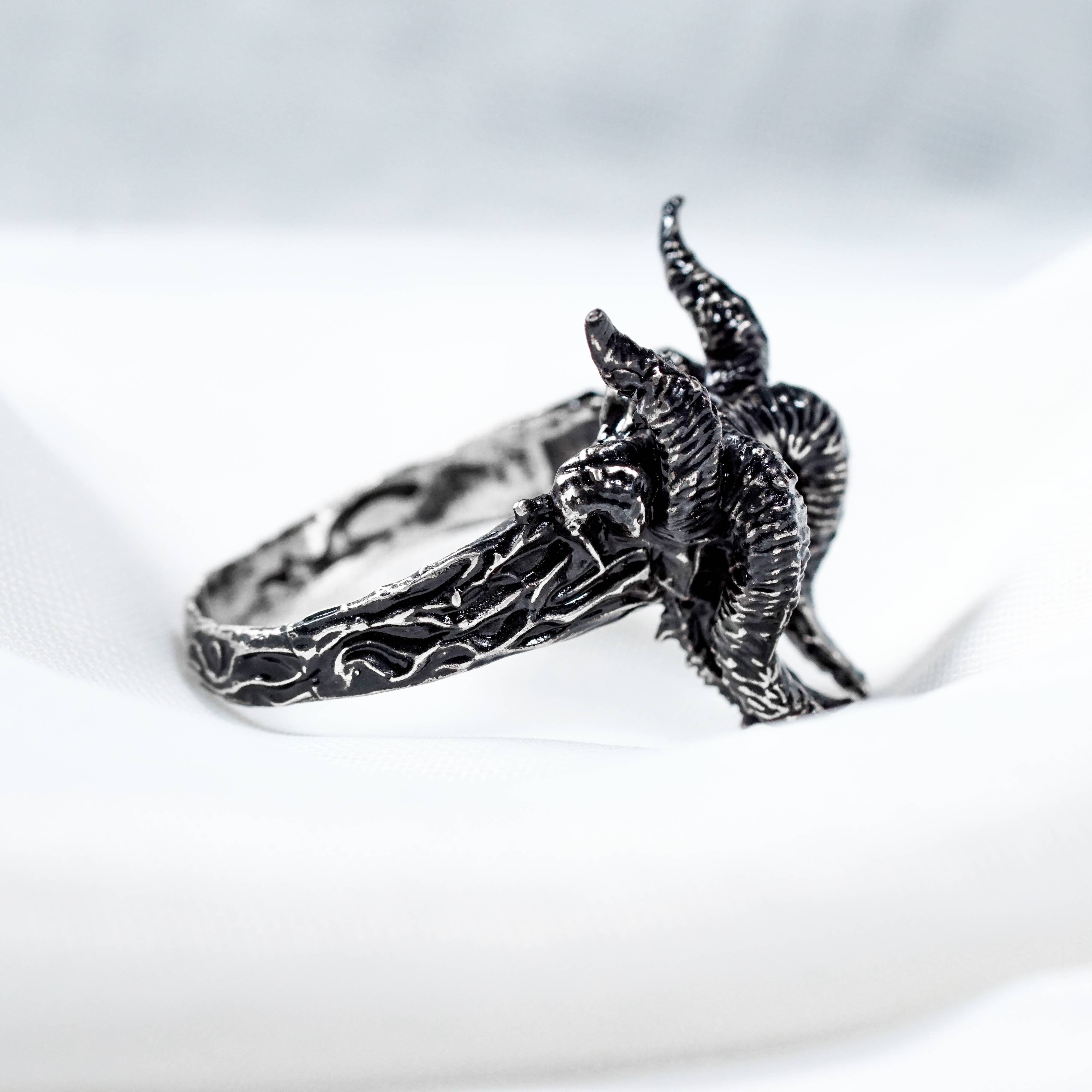 Elden Ring Nightreign Jewelry, Raider Silver Ring, Elden Ring Inspired Handmade Jewelry, Custom 950 Silver Nightfarers Classes Ring 5 - EternaSilver DSC04458 - EternaSilver