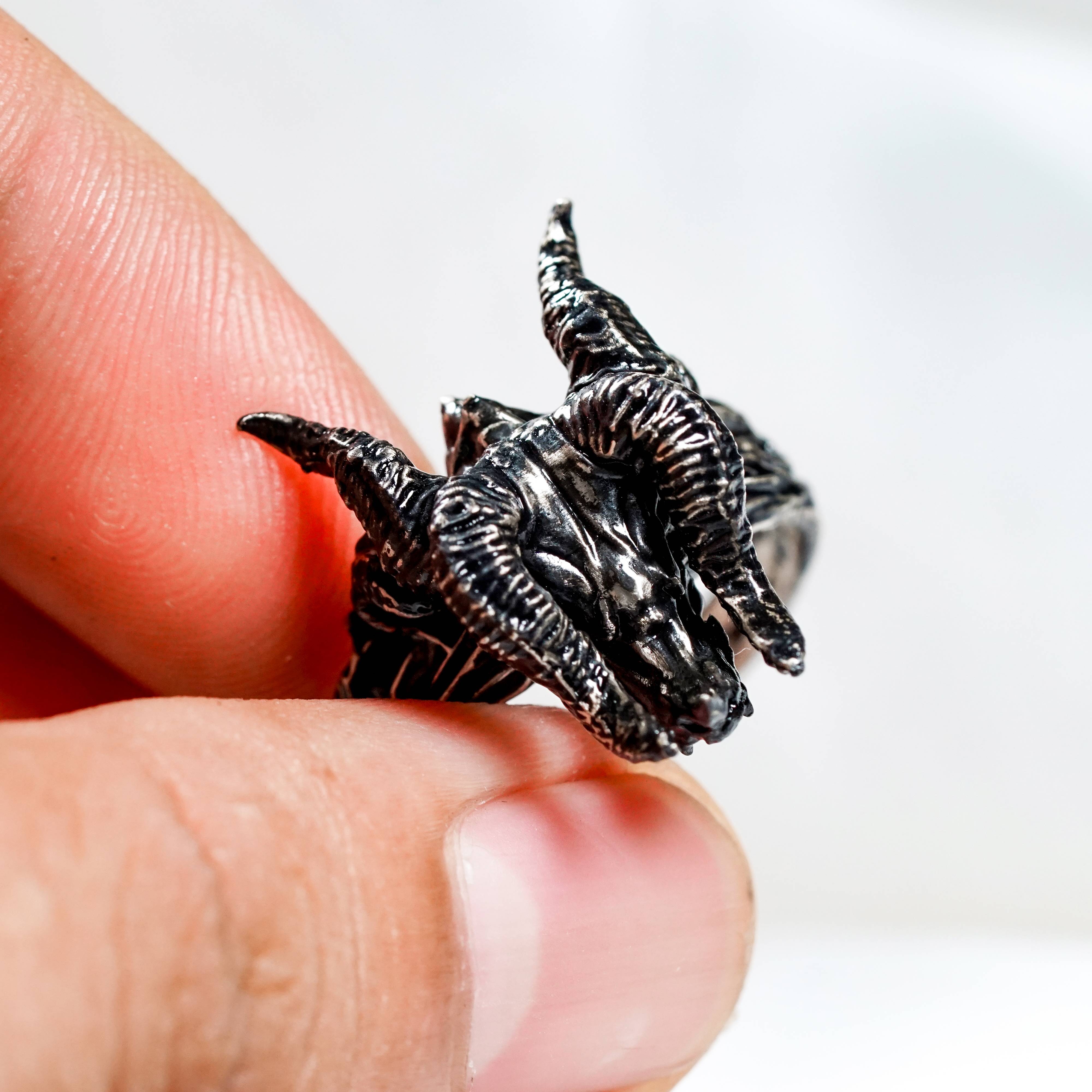 Elden Ring Nightreign Jewelry, Raider Silver Ring, Elden Ring Inspired Handmade Jewelry, Custom 950 Silver Nightfarers Classes Ring 7 - EternaSilver DSC04491 - EternaSilver