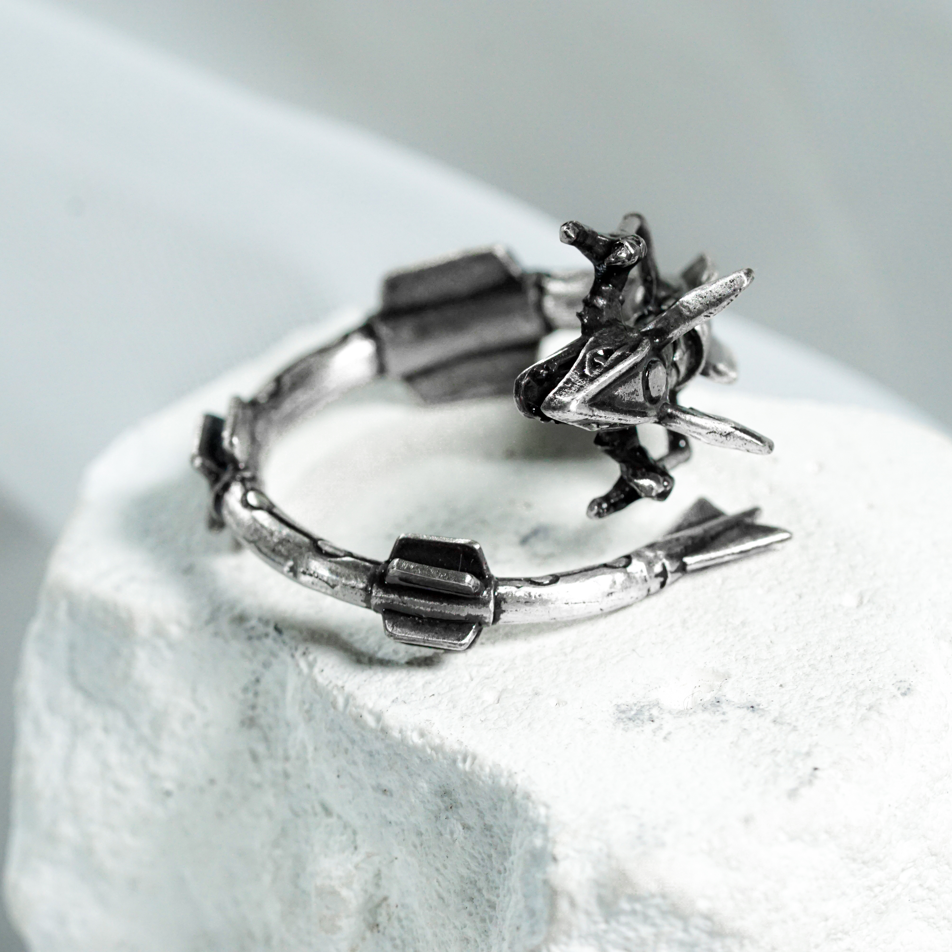 Pokemon Rayquaza Custom Signet Ring, Silver 950 Wrapped Rayquaza Ring with Pokeball Box, Perfect Pokemon Jewelry Gift for Fans 4 - EternaSilver DSC04728 - EternaSilver